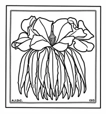 Godetia (1919) by julie de graag