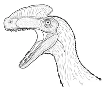 Guanlong wucaii