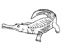 Гавіал