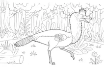 Hermosiornis in the forest