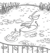 Hippo and pelican at the pond