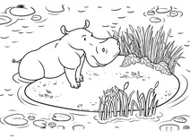 Hippo at the pond