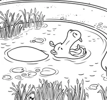 Hippopotamus in the pond