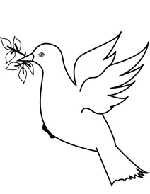 Голуб 4