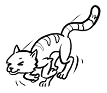 Кошенята