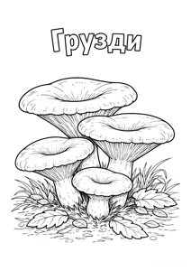 Грузді