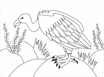 Гриф