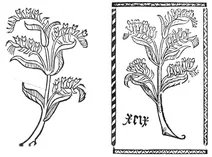 Гунс цунґен, 1497–1500