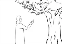 Ісус сказав закхею спуститися