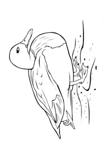 Качка