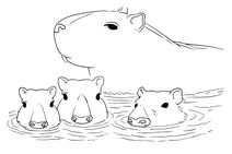 Капібари насолоджуються водою