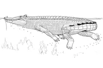 Kaprosuchus underwater