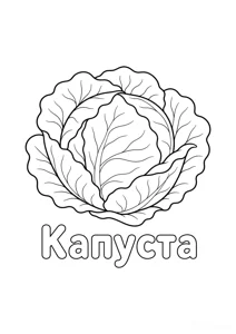Розмальовка «”Капуста”»: роздрукувати, завантажити