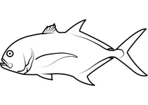 Каранг великий (caranx hippos)
