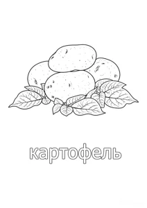 Розмальовка ««Картопля»»: роздрукувати, завантажити