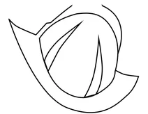 Каска