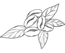 Кава