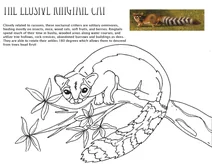 Кільцехвостий (ringtail) з монумента «орегонські печери