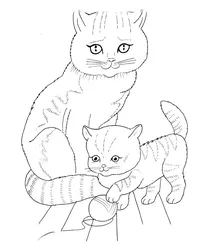 Кішка та кошеня