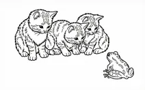 Kittens and a toad by ernest nister (1890)