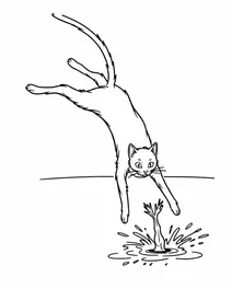 Kitty chasing a frog into a puddle