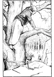 Книги серця дуба (1906)
