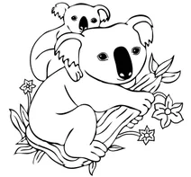 Коала-малюк на спині у мами-коали