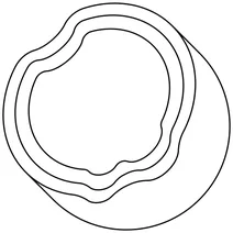 Кокос (емодзі)