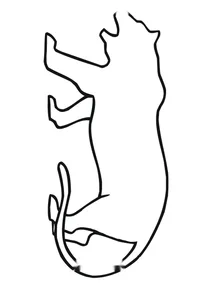 Контур тигра