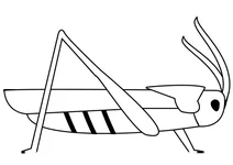 Коник