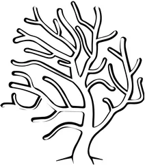 Корал