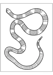 Коралова змія