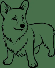 Коргі