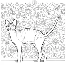 Корніш рекс