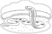 Королівська кобра