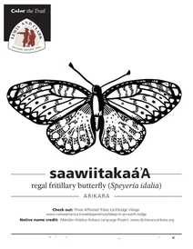 Королівський метелик рябчик (speyeria idalia)