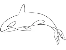 Косатка