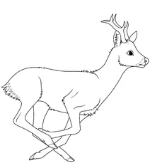 Косуля, що біжить