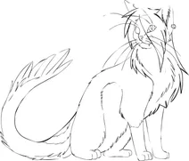 Кот-пірат