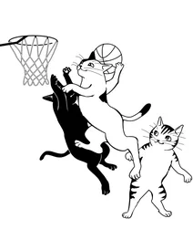 Коти грають в баскетбол