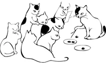 Коти на уроці