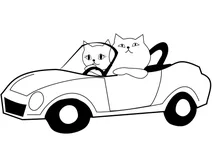 Коти в автомобілі