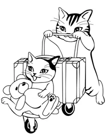 Коти збираються подорожувати