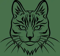 Котяче обличчя
