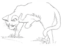 Котик
