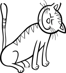 Котик полюбляє пестощі
