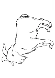 Коза
