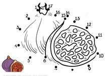 Крапка за крапкою – інжир