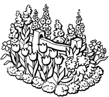 Краса літнього саду