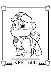 Кріпач